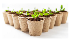 SITCO - Coir Seedling Pots