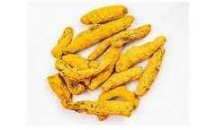 SITCO - Turmeric Finger