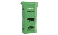 BERGIN - Model JS-Top - Special Mineral Feed for Breeding Sows