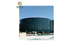 JCWY - Model JC-YHG1000 - CSTR 1000m3 UASB EGSB Anaerobic Reactor for Chicken Manure Digestion