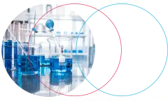 White Labeling Service