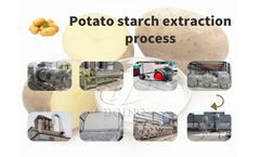 Unearthing Profit: A 2025 Cost-Benefit Guide to Potato Starch Processing with Henan Jinrui Equipment