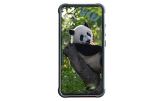 Xuxin - Model KTW332 (5G) - Rugged Cordless Phone