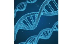 Cell Immortalization Service