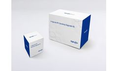 Hybribio - High-risk HPV GenoArray Diagnostic Kit for HPV Genotypes Detection