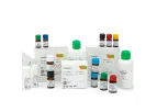 VitalScientific - Clinical Chemistry Reagents for Automated Systems