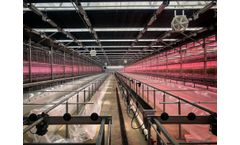 Greenhouse Electrical Installation Services