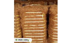 Green Gold - Coco Fiber Bale