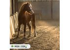 Green ScienX - Green Pro-Bed Animal Bedding
