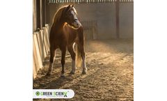 Green ScienX - Green Pro-Bed Animal Bedding