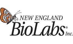 NEB - Model Q - Thermostable Endonuclease