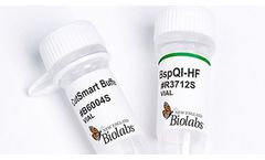 NEB - Model BspQI-HF - Restriction Endonucleases