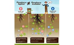 When Phosphorus Goes Missing in Action - Understanding the Hidden Nutrient Trap