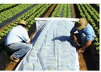 NW Fabric - Model Cropcover-1001 - Agricultural Non Woven Crop Cover