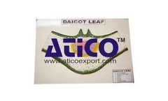 Atico Scientific - Model AEB101 - Dicot Leaf