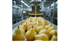 Screw Press and Fiber Filters for Food and Beverage Industry