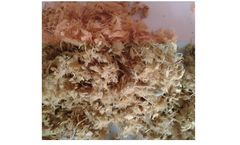 Screw Press and Fiber Filters for Pulp and Paper Industry