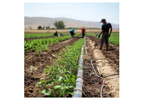 WaveSave - Irrigation System