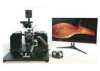 PhaseView - Model Alpha 3 - Light Sheet Fluorescence Microscope
