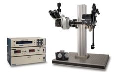 RAPP - Model MOM - Movable Objective Microscope for Two-Photon Imaging