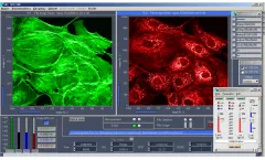 Becker & Hickl - SPCM Data Acquisition Software for TCSPC Modules