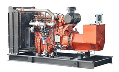 Topper - Model CGS-20250312-GGS-01 - 50 Hz Natural Gas Generator Set