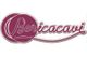 BERICA CAVI S.p.A.