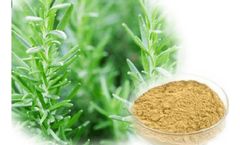 The role of ion exchange resins in plant extract & separation