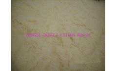 Dongli - Model GC108 - Gel Strong Acid Cation Exchange Resin