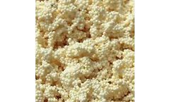 Dongli - Model DL403 - Macroporous chelation resin