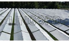 LINGORD - Your Partner in Crop Protection - Video