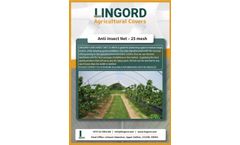 Lingord - Insects Net -Brochure