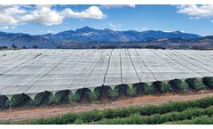 Lingord - Model WHN-0614-065-T - Hail Nets