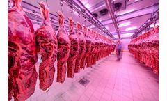 Industrial Refrigeration Systems for Food Industry