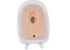 Medarchitect - Model MDA01030 - Upgraded Episiotomy and Perineal Laceration Suturing Trainer with Adjustable Stand