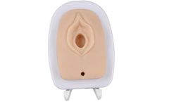 Medarchitect - Model MDA01030 - Upgraded Episiotomy and Perineal Laceration Suturing Trainer with Adjustable Stand