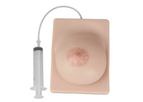SimCoach - Model SIC041-W - Breastfeeding Education Model