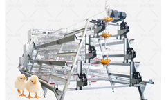 Malido - A Type Caging System