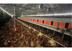 Malido - Layer Cage-Free System