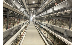 Malido - Layers Caging System