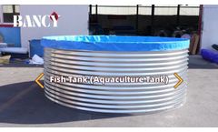 Fish Farming Tank - Video