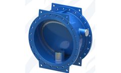 AVM - Slanted Seat Check Valve