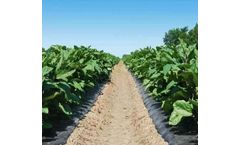 Archan - LLDPE Black Mulching Sheets
