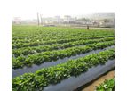 Archan - Agricultural Mulching Sheets