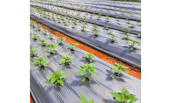 Archan - Grey Mulching Film