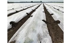 Archan - Crop Cover Tunnel Film