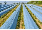 Archan - Model 80 - Micron Biodegradable Mulch Film