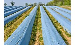Archan - Model 80 - Micron Biodegradable Mulch Film