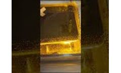 High Octane: Pure Extracted Oil in Action | 20L MAX Excellence - Video