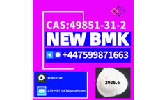 GS - New BMK Powder CAS 80532-66-7/5449-12-7/25547-51-7/10250-27-8/1625-45-9/1451-82-7,Exported to EU Weekly